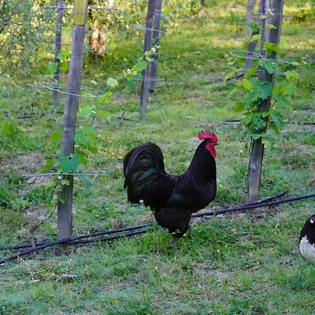 Campo Sasso Poggio Alla Croce